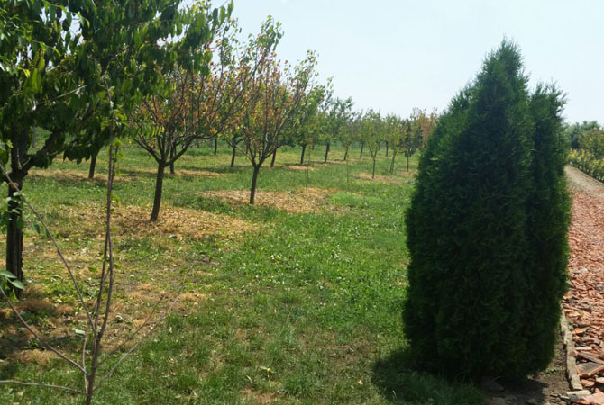 Bergel tanya 2015. június 14.